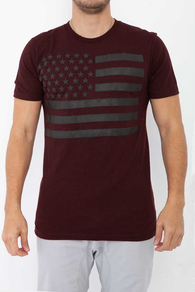 Mens flags stripes HD graphic tee in Sangria